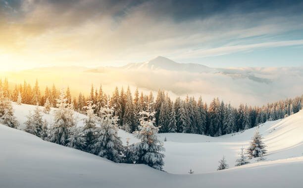 image - Seasons Hospice | End of Life Care winter nutrition